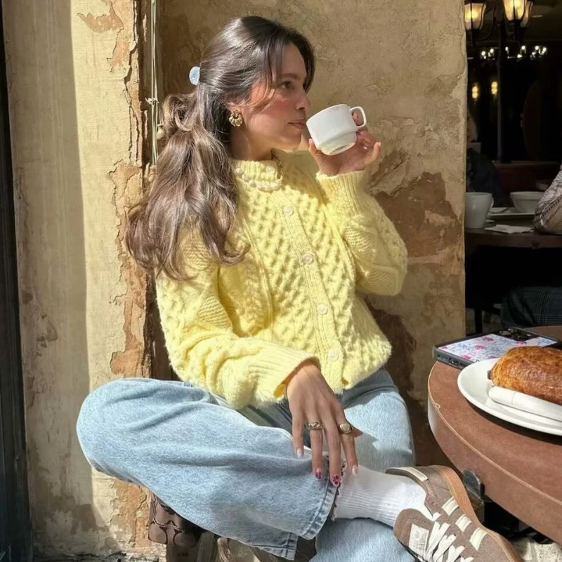 

Новое поступление осени 2025 года для женской моды: повседневный свитер из мягкой витой вязки