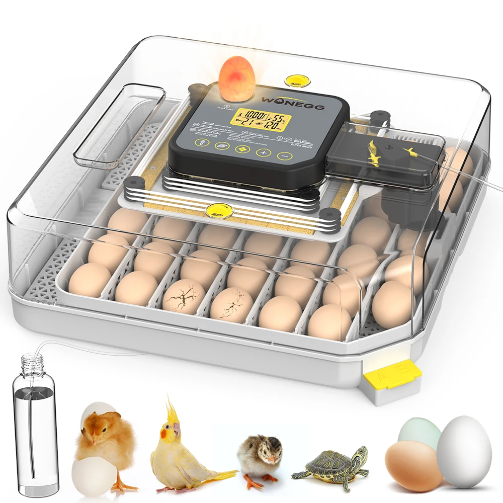 WONEGG NEW AC DC 48 Egg Incubator Circuit Board Automatic Egg Incubator For Chicken Eggs Price