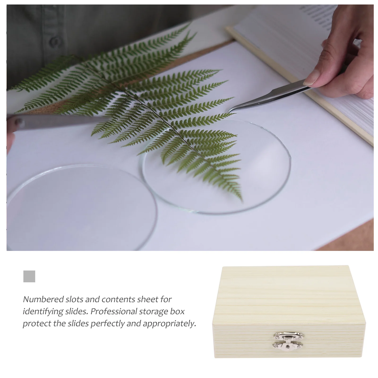 

25 Slot Microscope Slide Storage Box Wooden Case for Safe Collection Protection Sturdy Metal Buckle Clear Numbering Portable