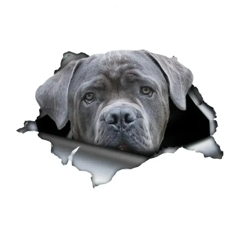 

Новая автомобильная наклейка серая трость Corso самоклеящаяся наклейка автомобильная наклейка водостойкий автодекор на бампере заднее окно ноутбука 15 см ПВХ KK