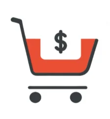 A dedicated payment link after communicating with the customer.