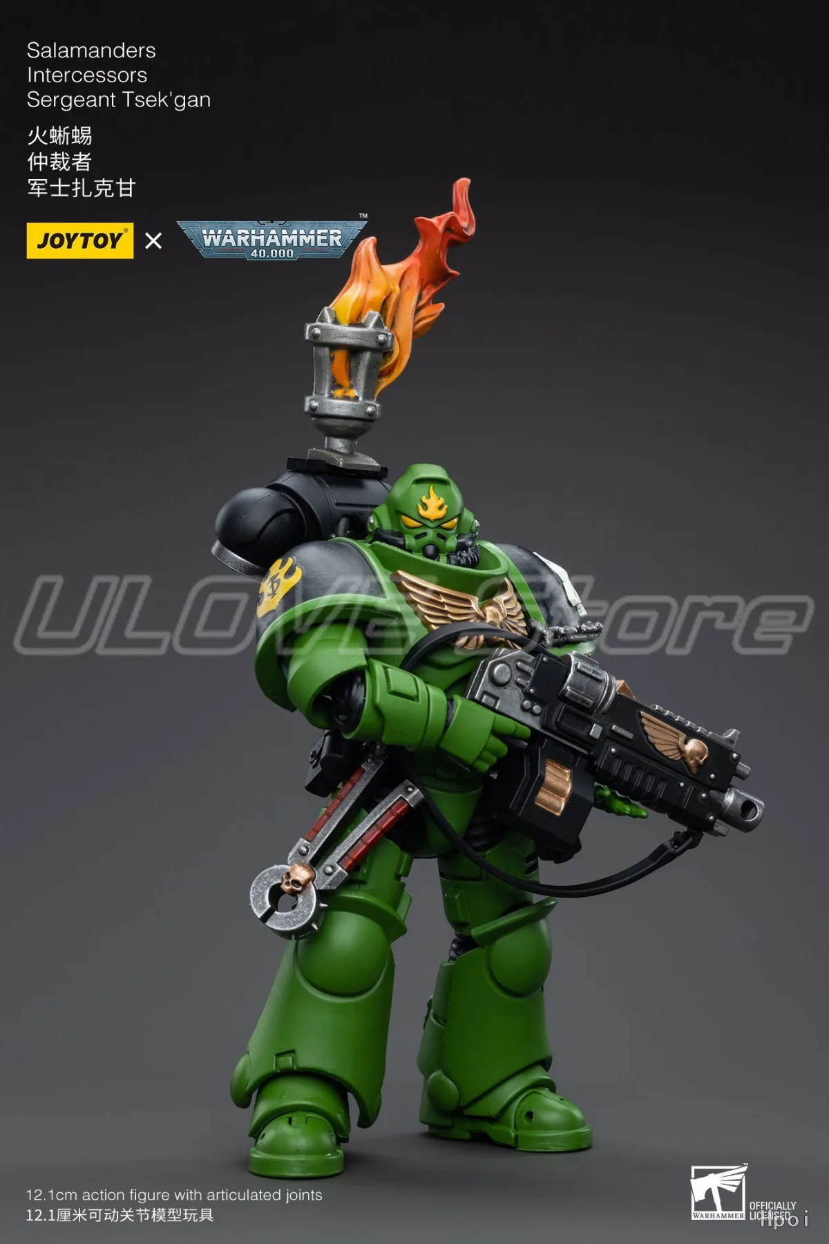 متوفر في المخزون الأصلي JOYTOY Warhammer 40K SalamandersIntercessorsSergeant Tsek'gan 1/18 عمل نموذج لجسم دمى هدايا #5