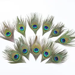 10PCS/lot Naturally Peacock Feathers 8-50CM for Wedding Clothing Feather Accessories Party Carnival Restaurant Vase Decoration