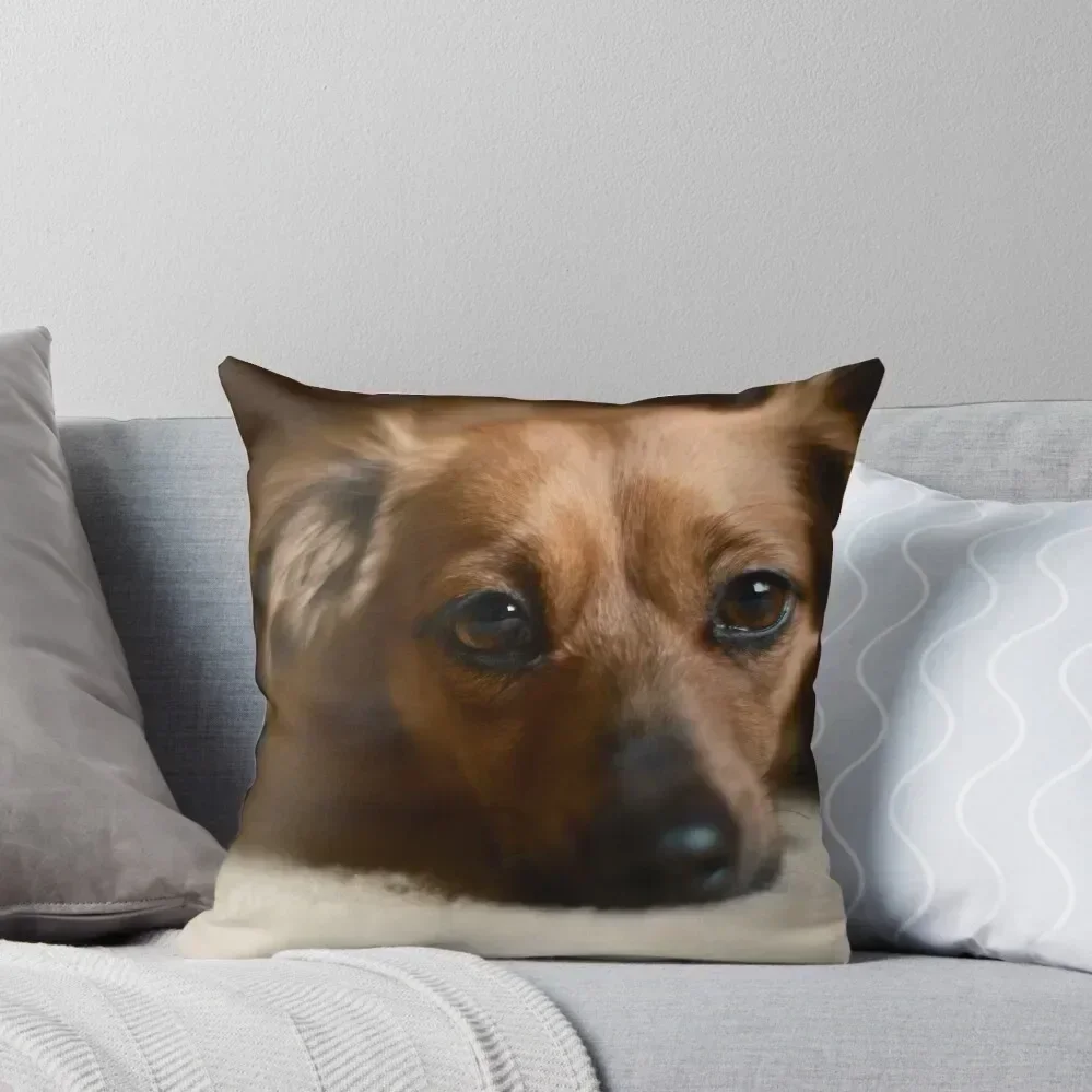 Adorable Chiweenie Throw Pillow christmas cushions covers Throw Pillow Covers pillow cover luxury Sofa Cushion Cover