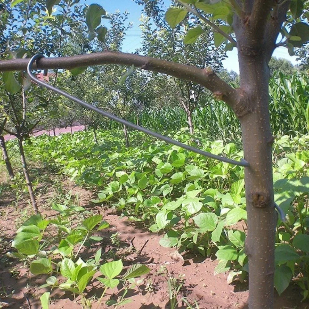 10Pcs Anti-Slip Metal Limb Spreaders High-Strength with Protective Sleeve Fruit Tree Branch Puller Plant Support Tool Strong