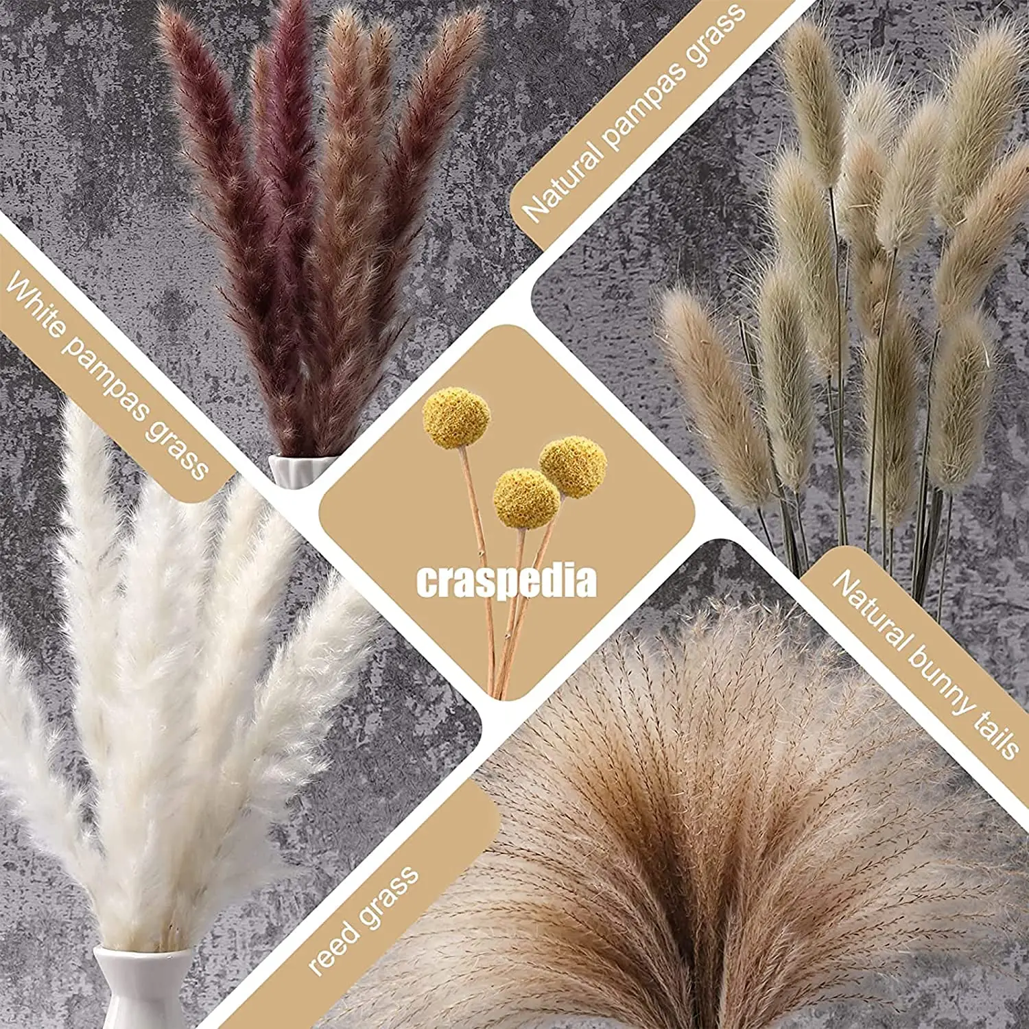 60-85PCS Natural Dried Pampas Grass 17.5