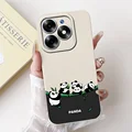 case-c06
