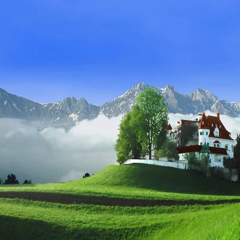 2pcs RCA Female Jack To 6.35mm 1/4" Male Mono Plug Audio Adapter Speaker Connector For DIY FM Microphone G3