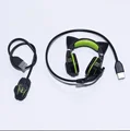 Mouse and headphones