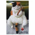 calico cat
