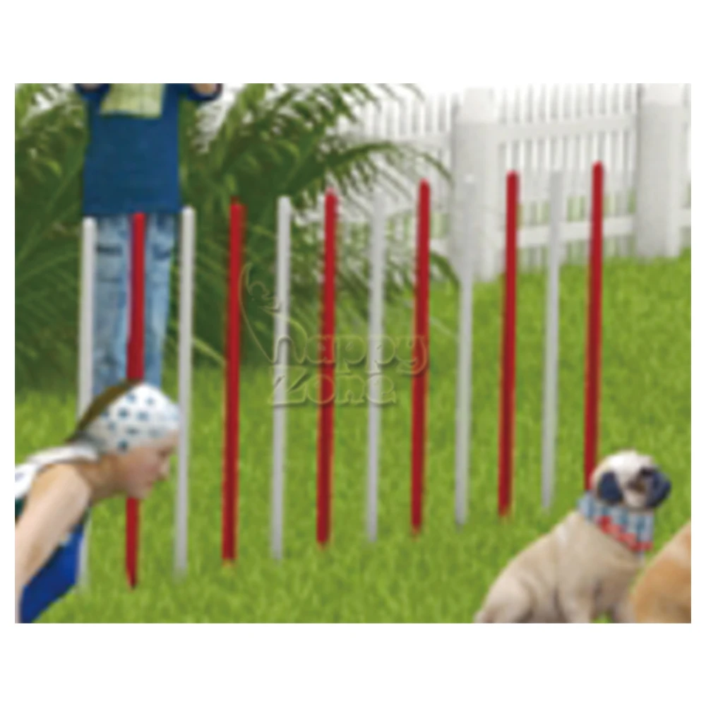 Pet Agility Training Games Course Interaktives Training Outdoor Hindernis Haustier Outdoor-Spielgeräte mit Edelstahlrahmen