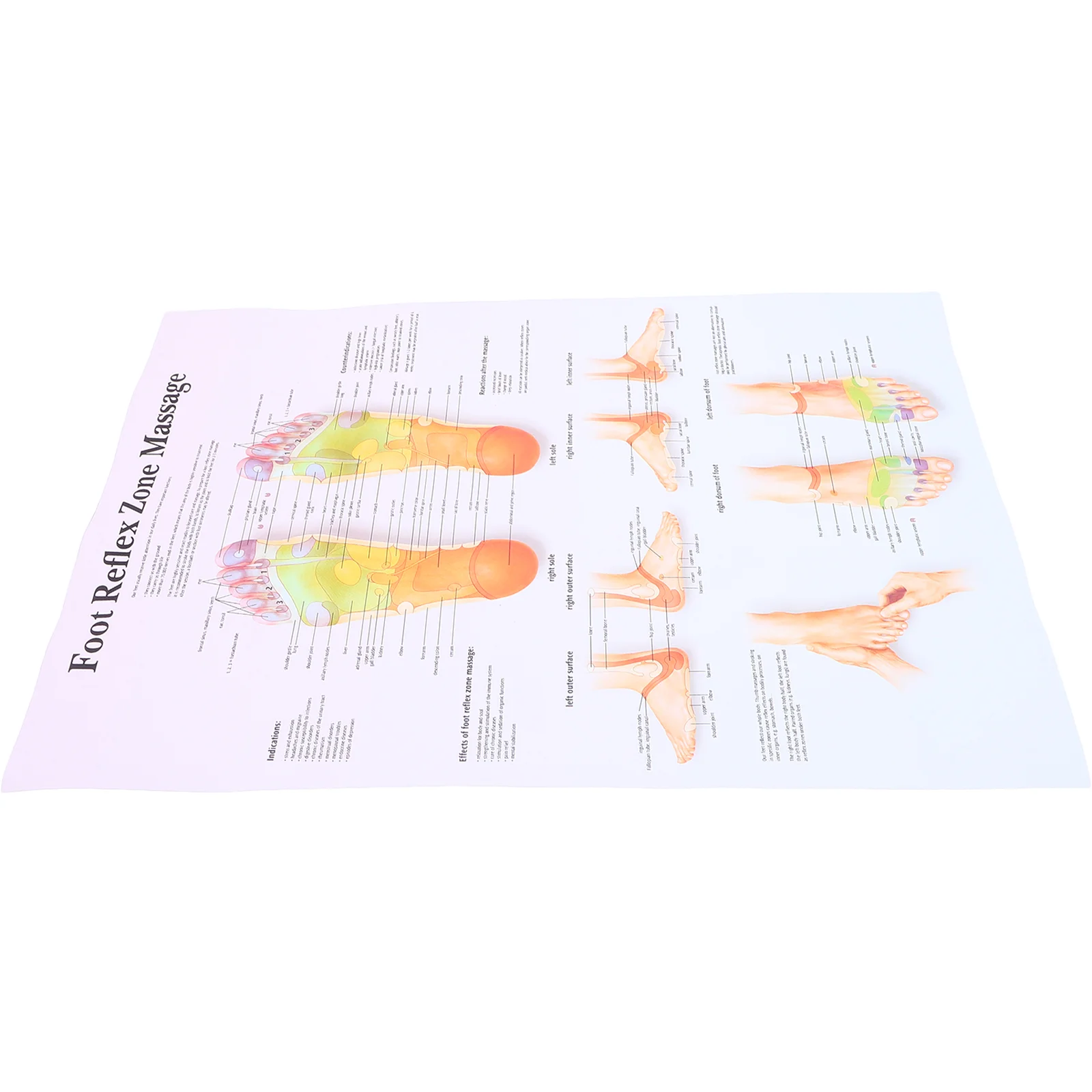 Foot Reflexology Poster 38x40cm Chart for Medical Schools Offices Home Decor Wall Foot Massage Areas Anatomy