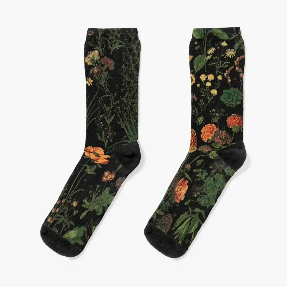 Midnight Floral Socks kawaii sheer Wholesale Socks Woman Men's