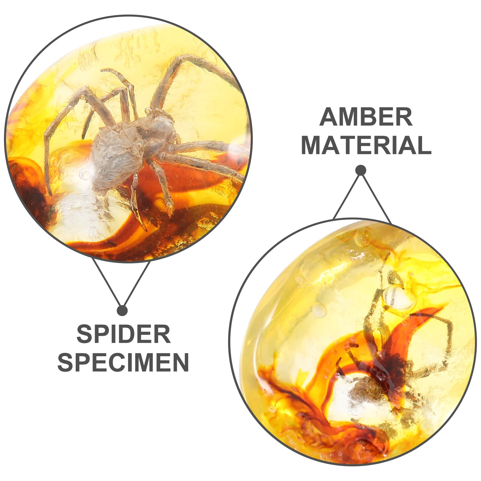 Necklace Amber Beeswax Specimen Spider Desktop Ornament Resin Pendants Decorations