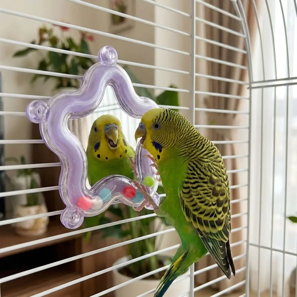 Colorful Beads Star Rotating Parrot Mirror Climb Bite Chew Wear-Resisting Bead Parrot Chew Spinning Bite Resistant