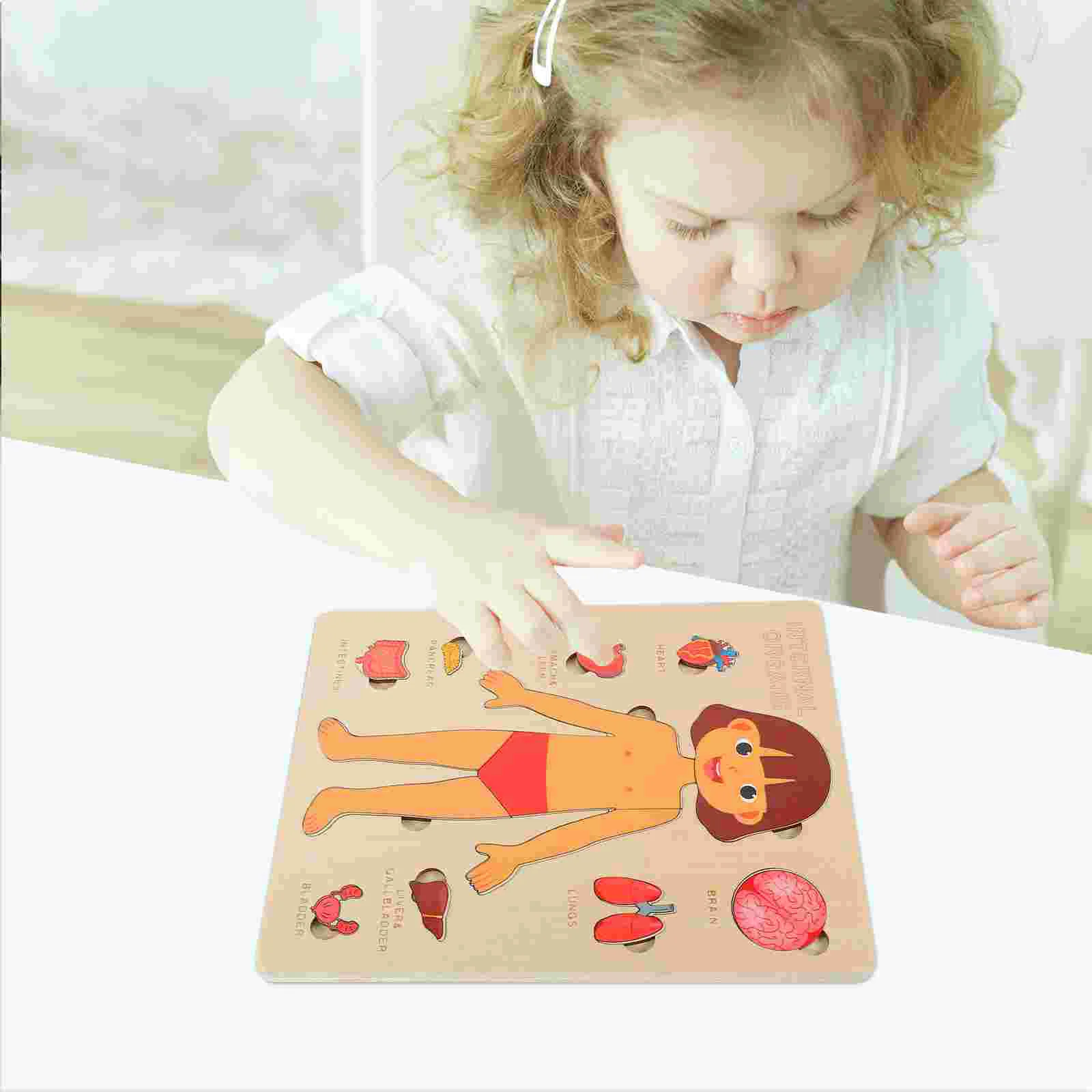 Struttura del corpo umano Puzzle organi Puzzle giocattolo riconoscimento dei bambini sussidi didattici per l'infanzia strumento per la prima educazione modello di anatomia