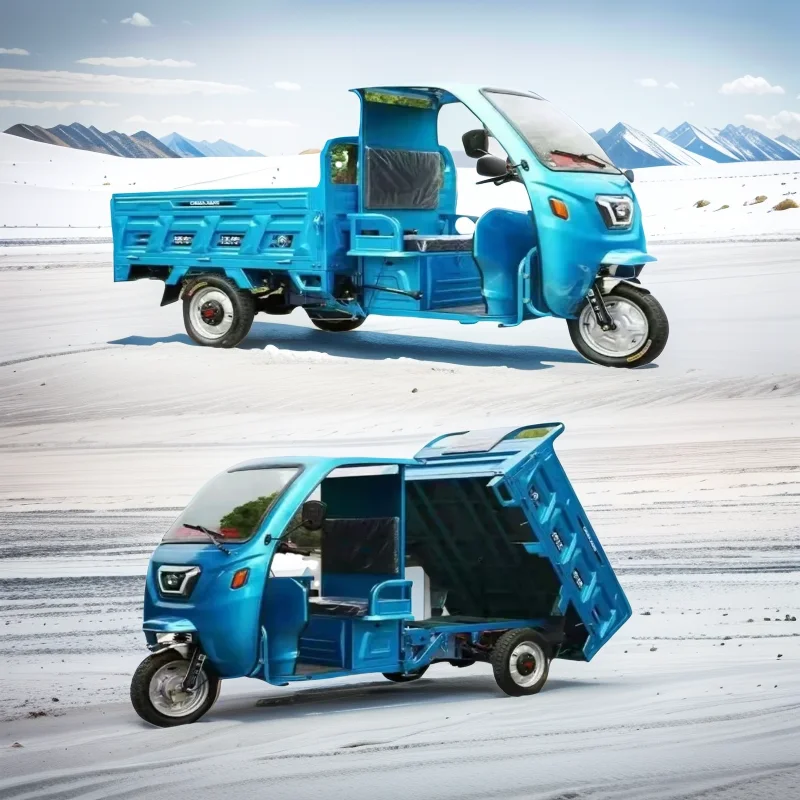 Covered Triciclos electricos adulltos, Cargo-loading king, Three-wheeled Electric Battery car,Large Tricycle,Steel iron trike