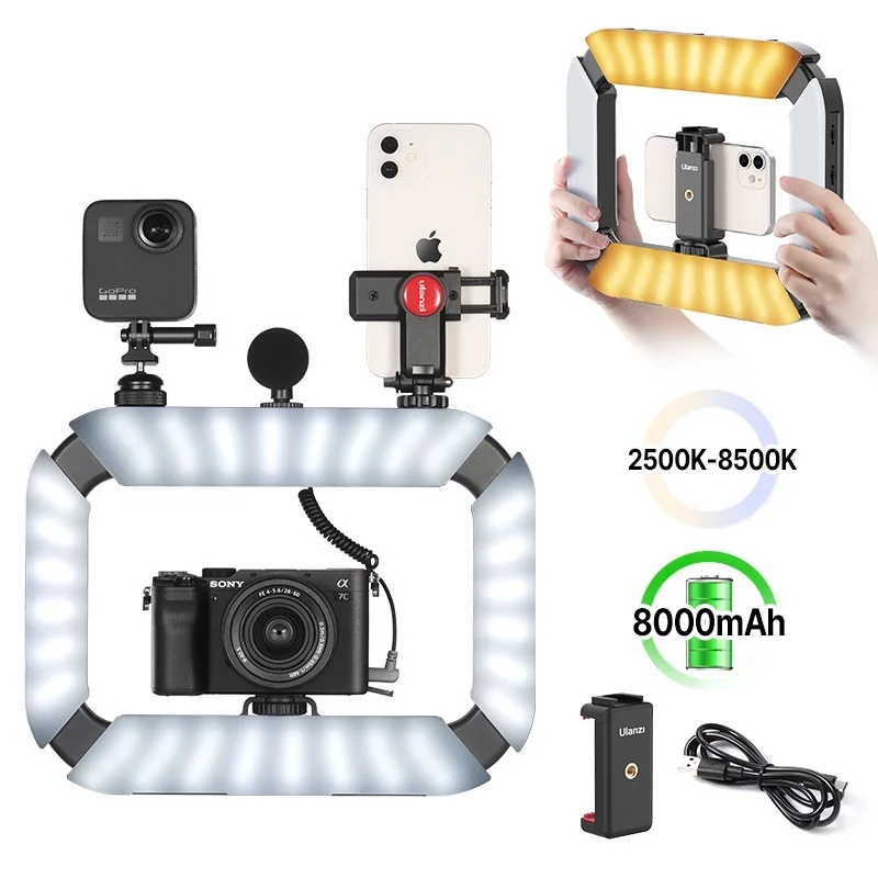 New U-200 Smartphone Video Rig LED Video Light 2 in 1 Ring Light with Cold Shoe for Microphone Tiktok Youtube Live Rig Light