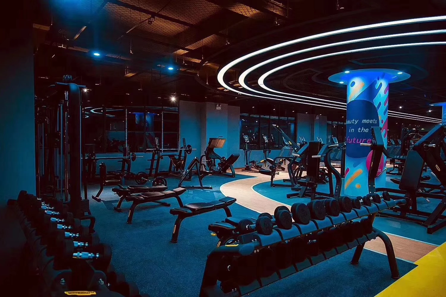 سعر معدات الصالة الرياضية آلة اللياقة البدنية المهنية إجمالي مدرب عضلات البطن تمارين كرافت النقي آلة الكذب البطن #3