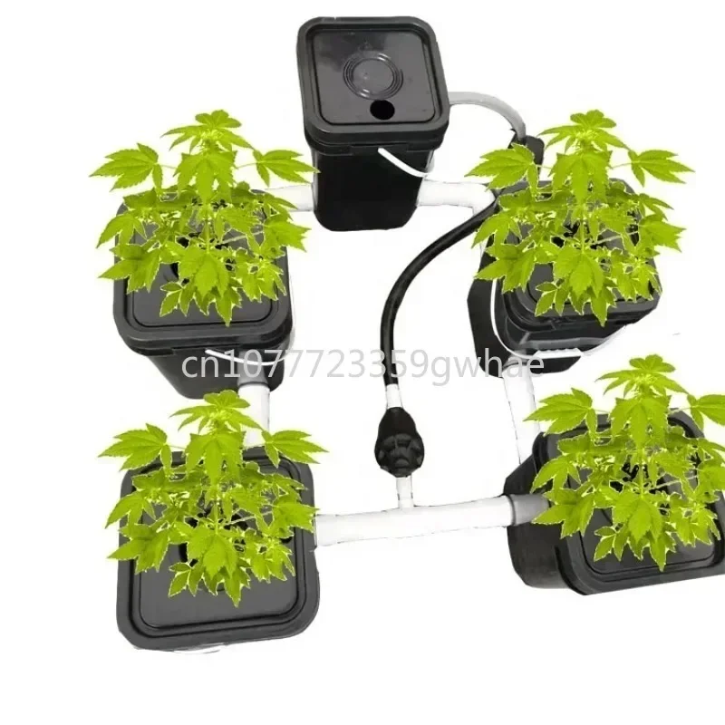 Water cultivation system garden greenhouse DWC-Rdwc automatic air cultivation system 5 barrels