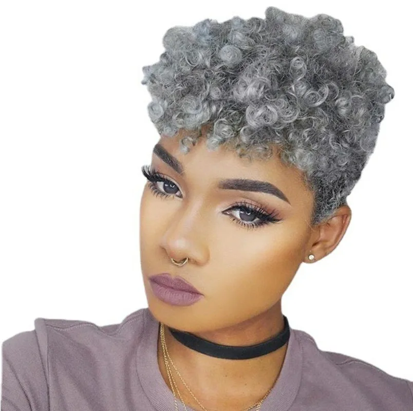 Synthetic Wig Grey Wigs for Black Women Heat Resistant Fiber Synthetic Hair Kinky Curly Short Curly Wig for Women