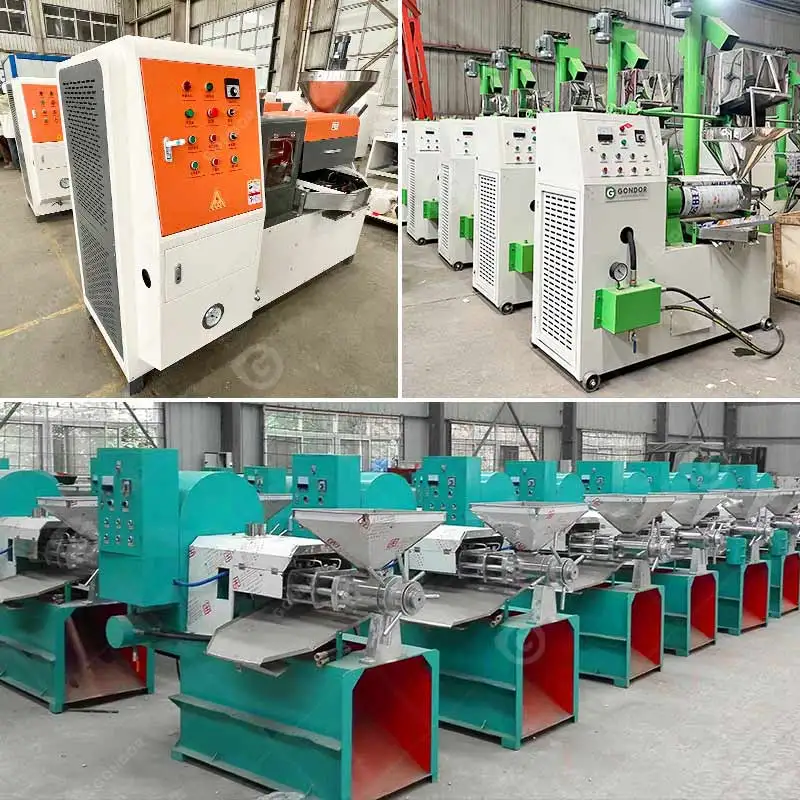 Virgin Coconut Multifunktionales Kochen Macadamia Master Oil Make Presser Extraction Machine Automatische Philippine