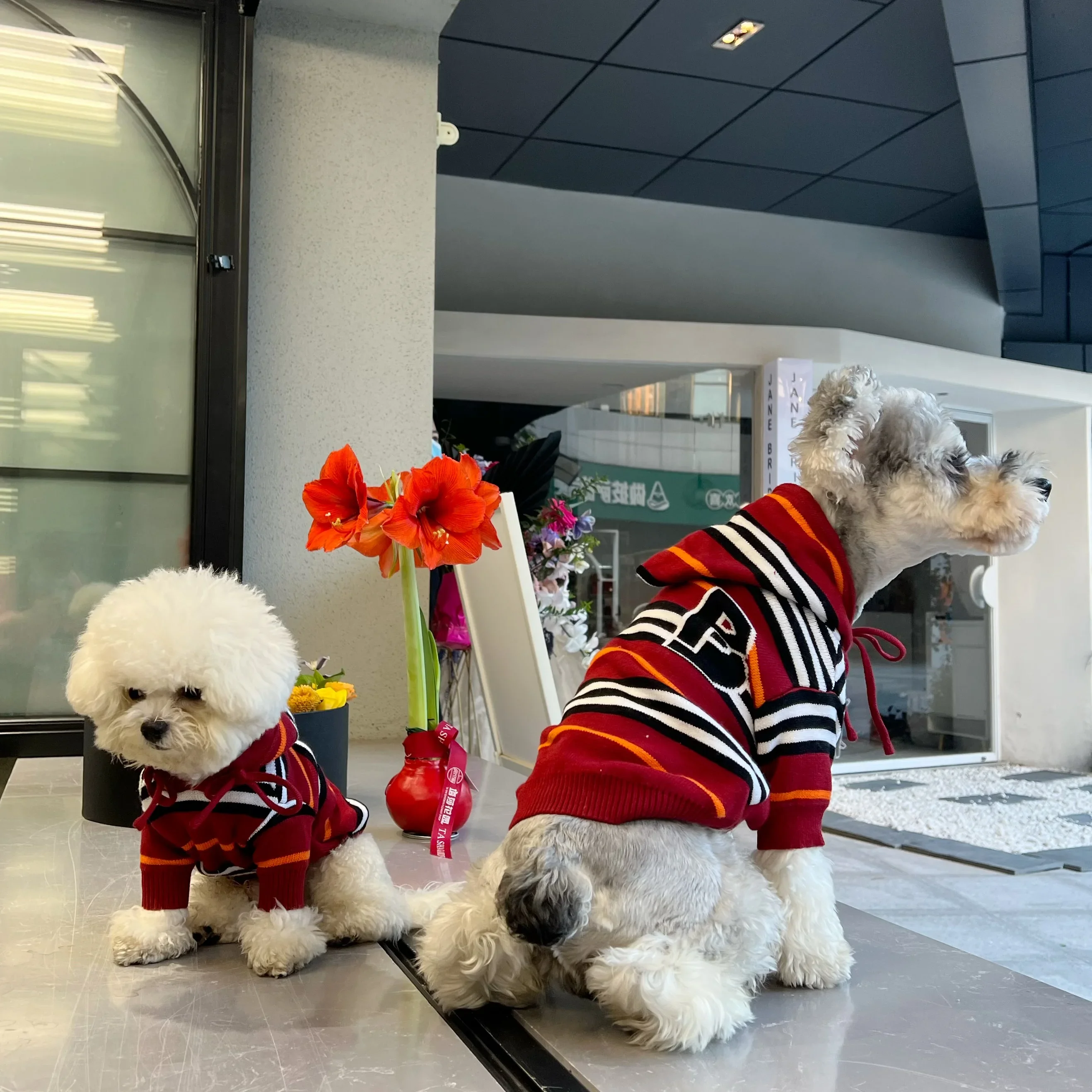 Thickened Warm Sweater Hoodie Pet Clothes for Dogs Teddy Bichon Schnauzer French Bulldog Corgi Autumn Winter Pet Apparel