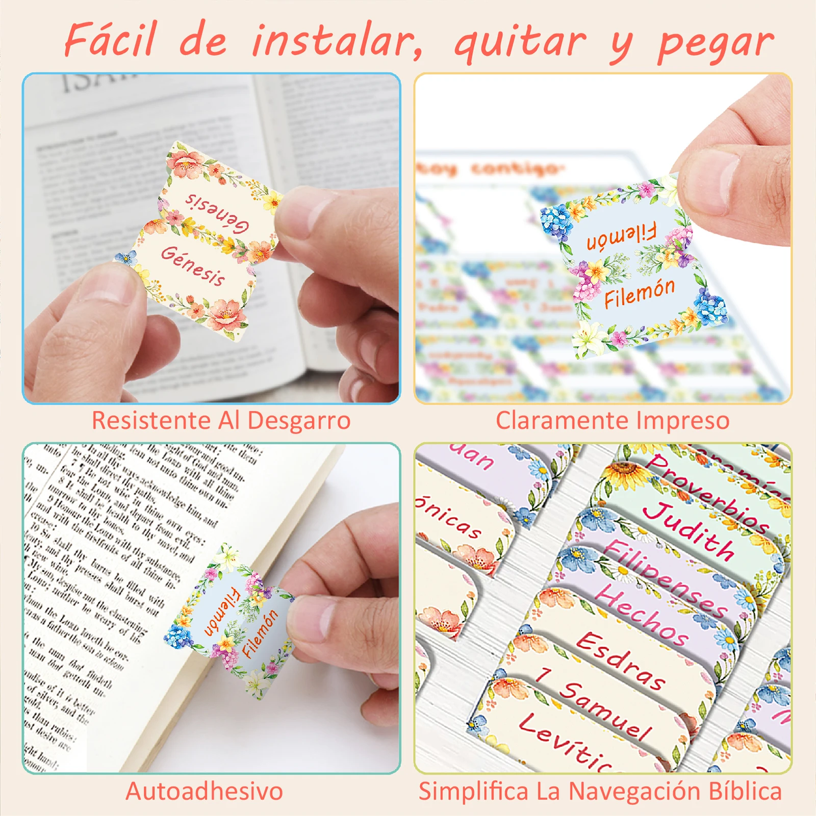 فواصل الكتاب المقدس باللغة الإ - مراجعة Index Tab Divider وسعره