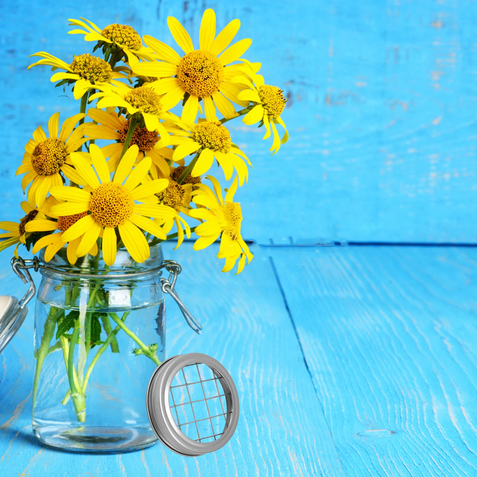

10 set 10 Sets Eusable Floral For Vase Mason Flower Grid Vase Frogs Mason Jar Gird Reusable Jar Sprouting Lid Floral Grid Lid