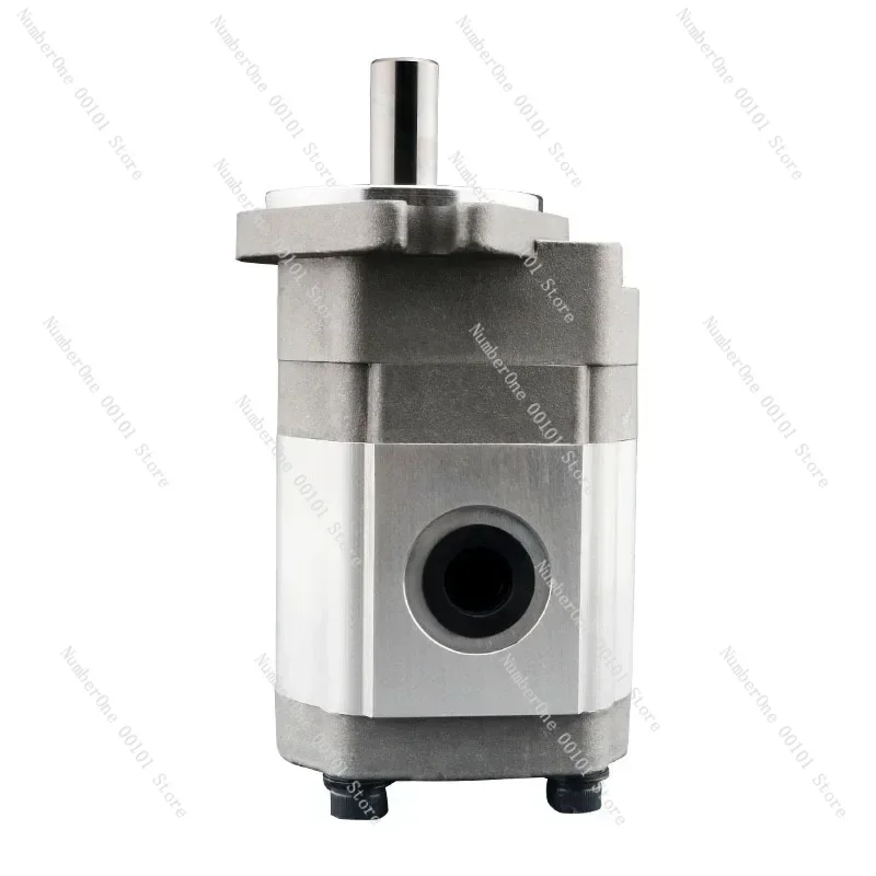 

Hydraulic Motor High Speed 3000 Rpm Aluminum Alloy Water Pump Gear Motor