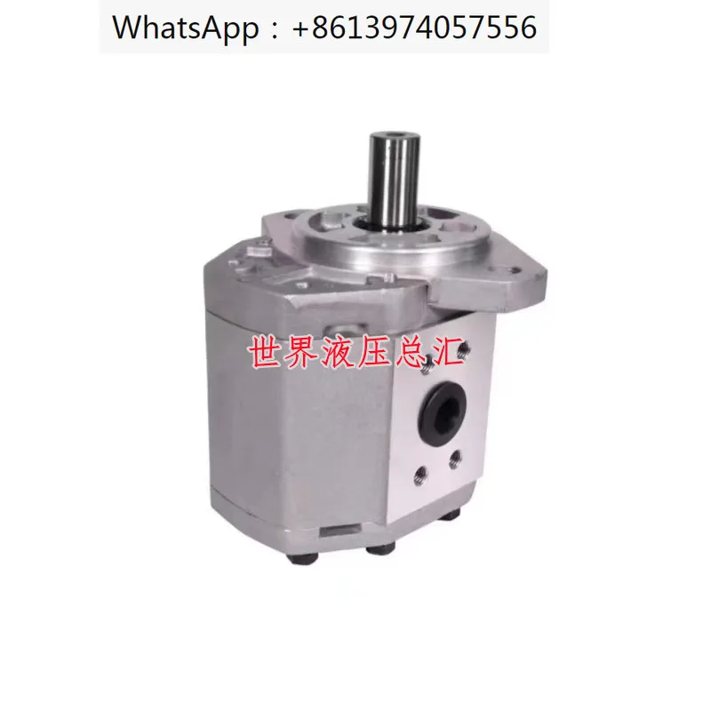 

Hefei Changyuan Gear Pump CBQ-F520/F525/F532/F540/F550/F563-AFPL-CFH