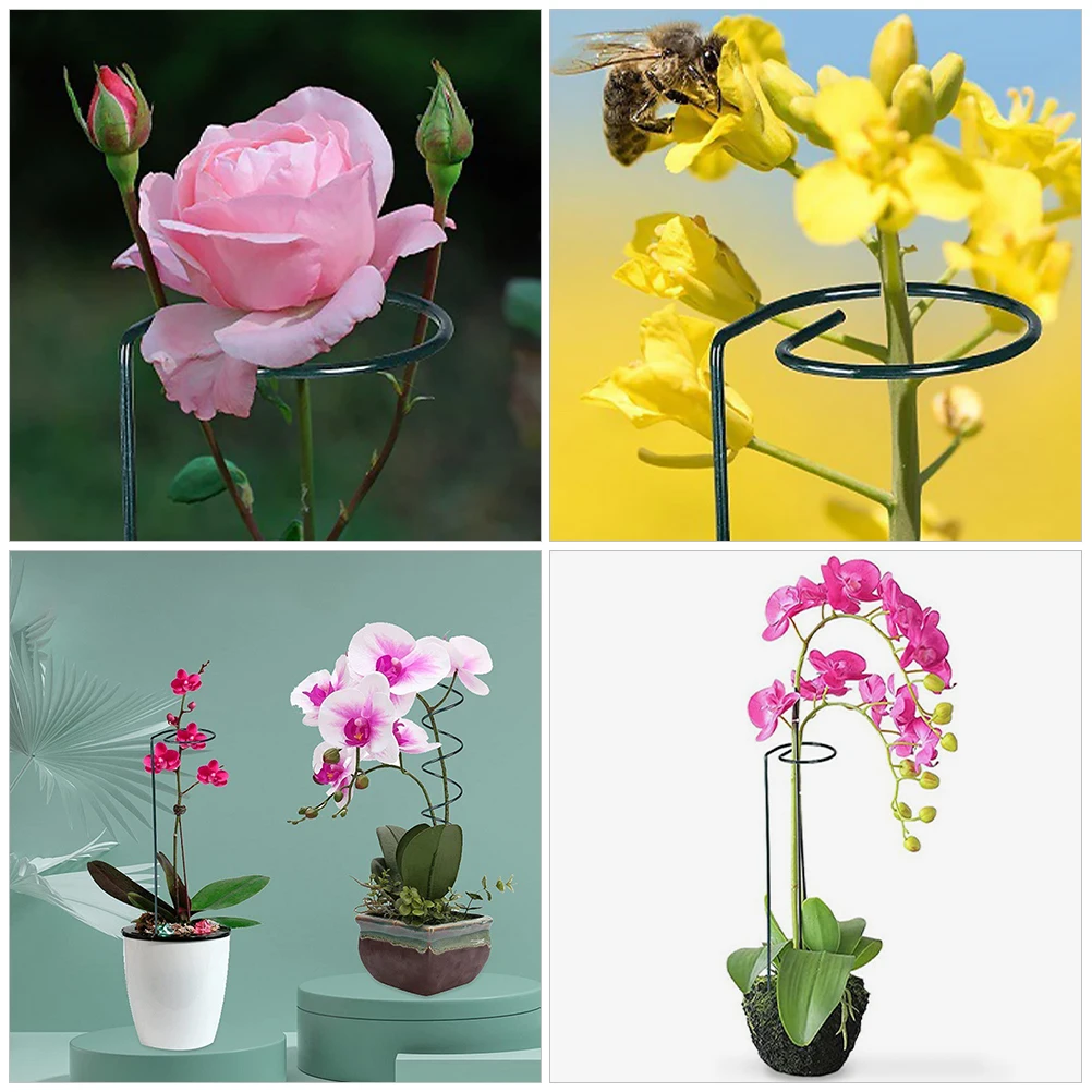

1 Set Single Stem Plant Support Metal Garden Stake Scaffolds Spiral Design For Orchid Rose Crab Cactus Potted Plants Support