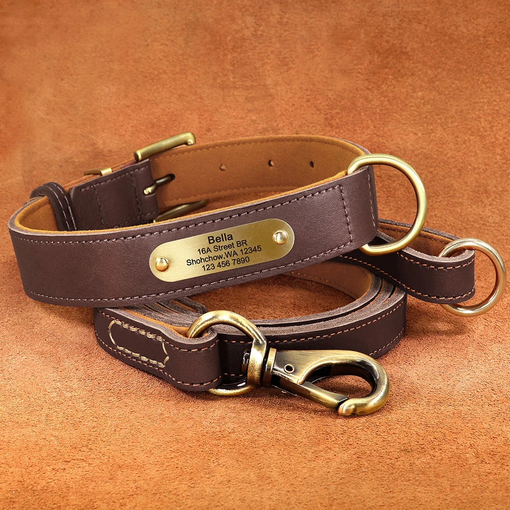 Personalisierte Hundehalsband-Leine aus echtem Leder, langlebige Hundehalsbänder, Gehbleine, Seil, frei mit Gravur für kleine, mittelgroße und große Hunde – Detail 34