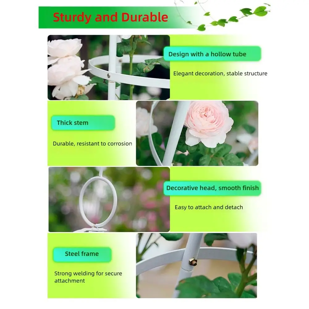 

Adjustable Height Garden Trellis High-quality Metal Stable Construction Plant Support Frame Round Accessories