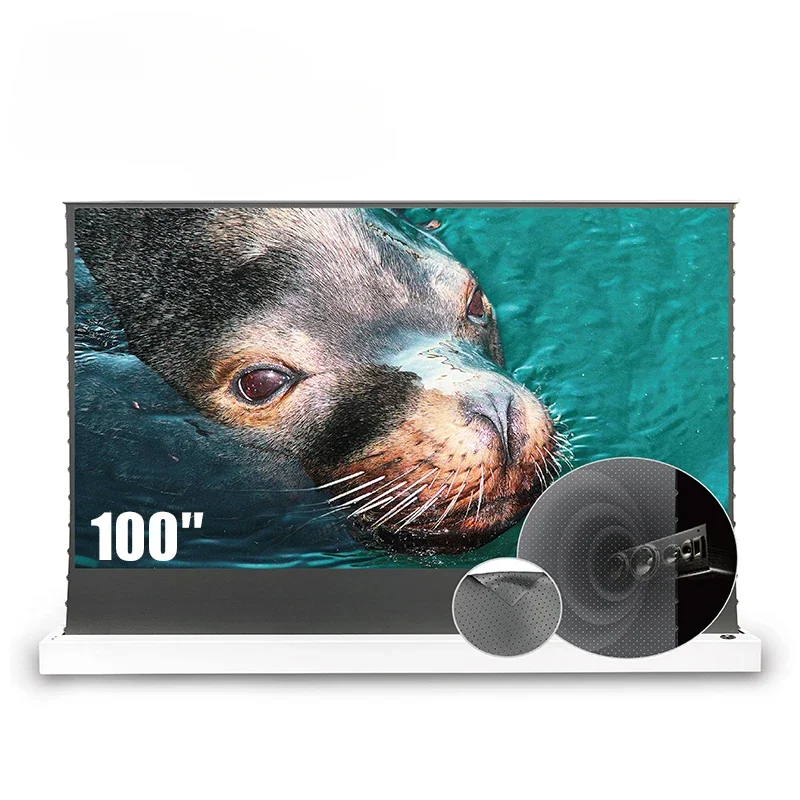 

VIVIDSTORM 100-inch Retractable Projector Screen With Perforate Acoustically Transparent ALR material For Long Throw Projector