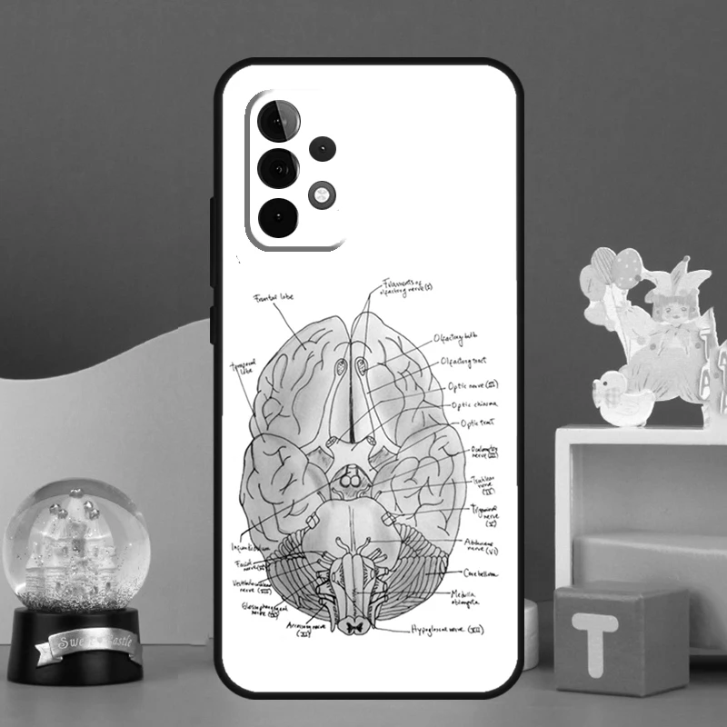 Anatomy Brain Case For Samsung Galaxy A52 A32 A22 A12 A14 A24 A34 A54 A53 A33 A13 A15 A25 A71 A51 Cover