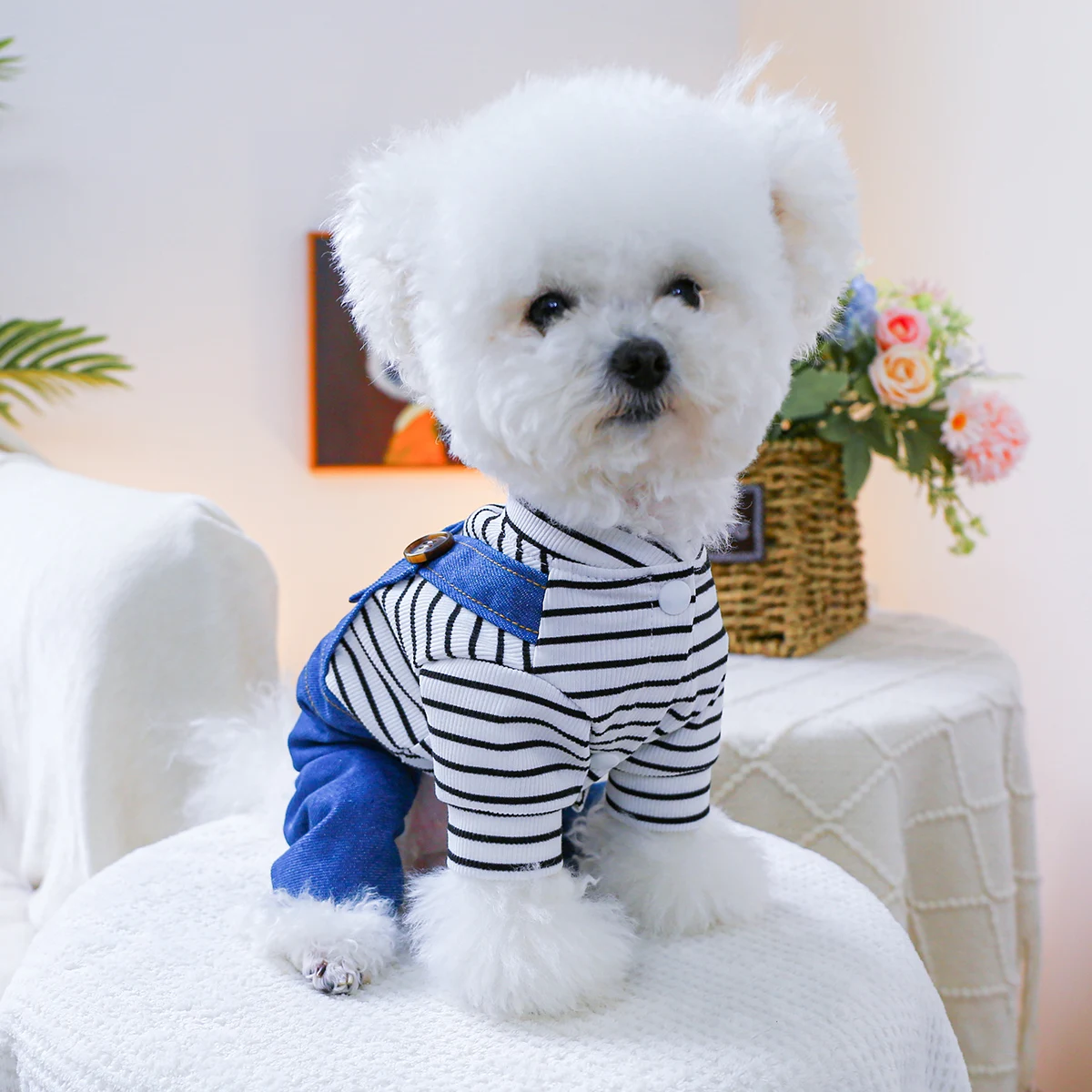 1PC Pet Clothing Spring and Autumn Handsome Little Bear O Bubble Four Leg Strap Pants Suitable for Small and Medium sized Dogs