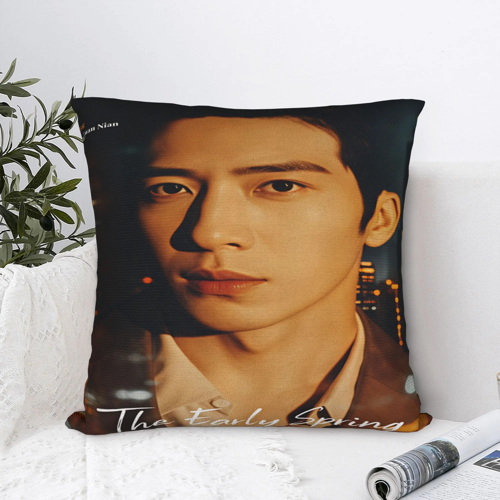 Pillow Case The Early Spring Graphic C Drama Pillow Cover For Sofa Home Decor Kawaii Pillowcases