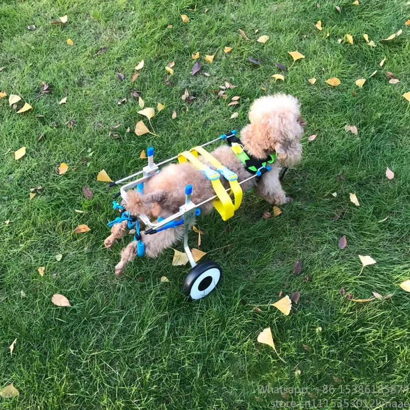 wheelchair Aluminum Walk Cart Scooter – Back-Leg Dog for Disabled Pets, Lightweight & Durable Mobility Aid