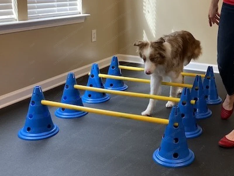 

Набор для тренировок собак на преодоление препятствий, S-образный барьер для тренировки поясничного отдела, реабилитация после операций на позвоночнике