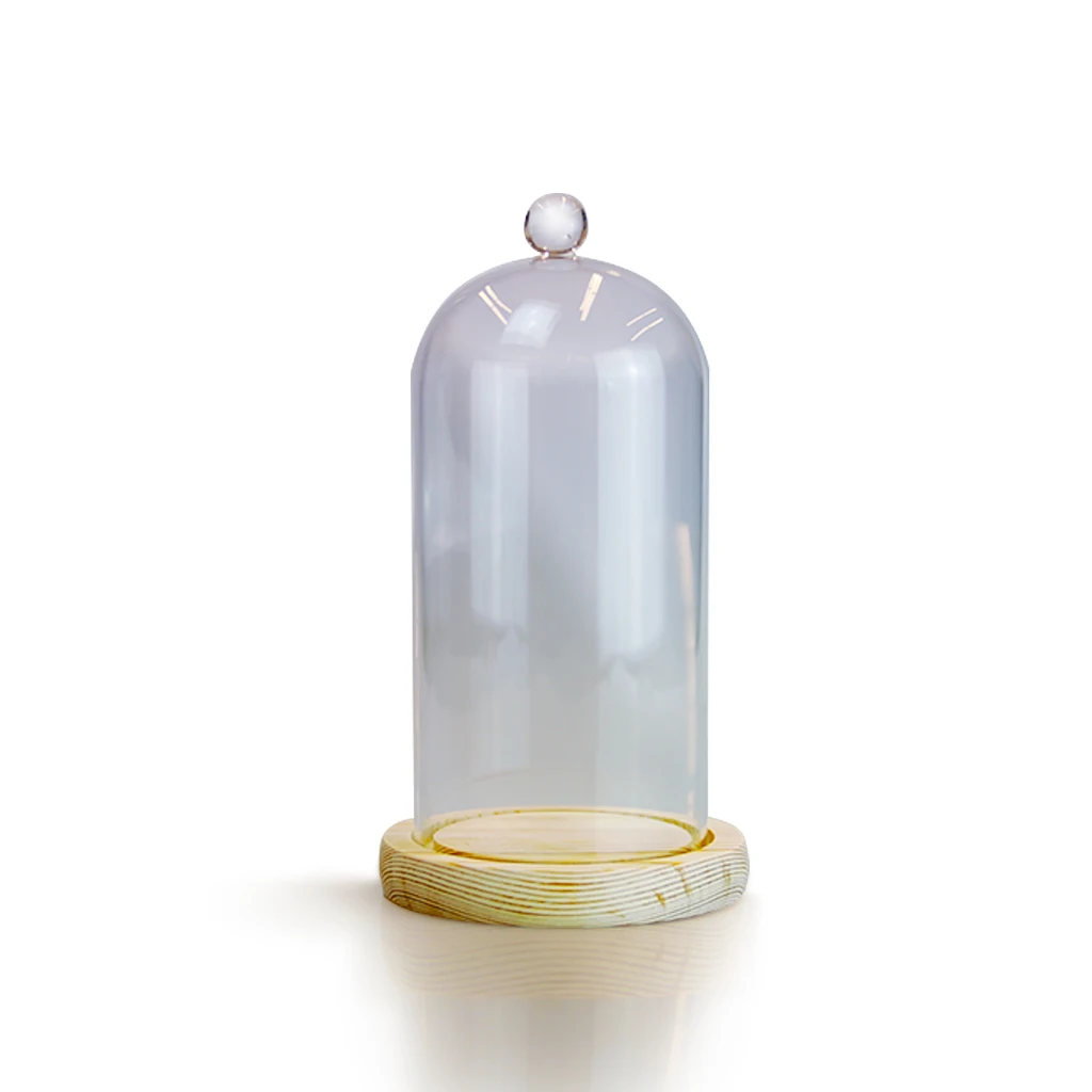 Round Glass Capsule Redoms 12x22cm 238901