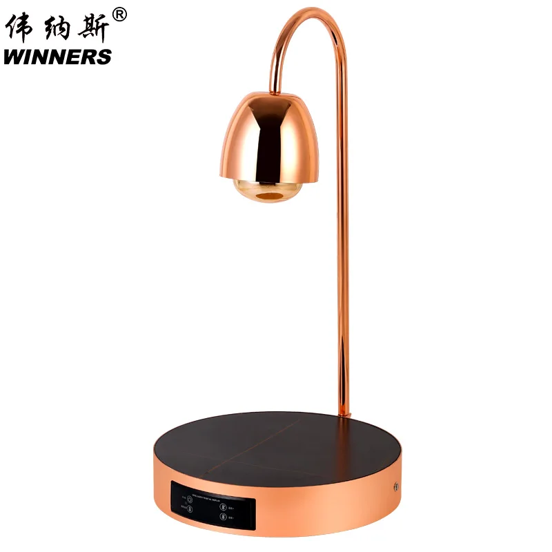 Lampada Riscaldante per Alimenti a Doppia Testa in Acciaio Inox Oro Rosa, Controllo Digitale, Piastra Elettrica Riscaldante per Buffet