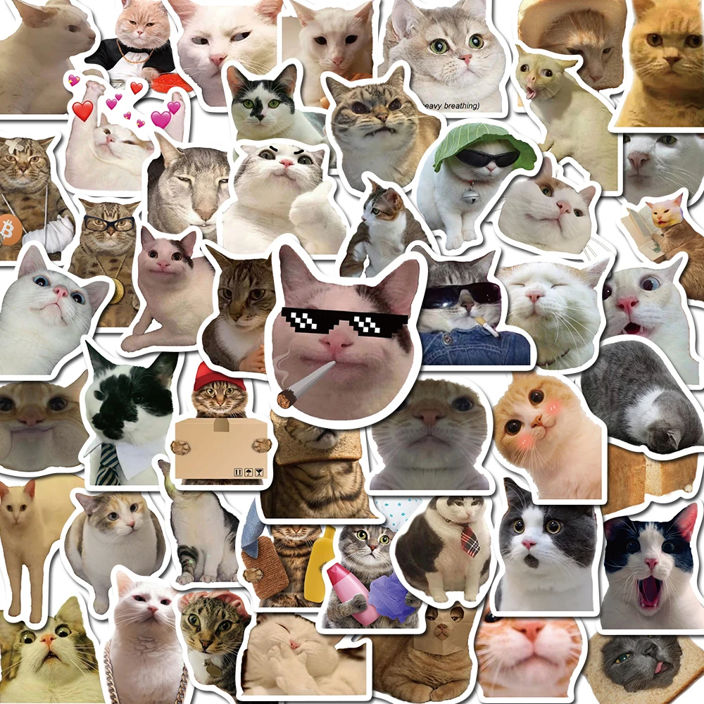 50PCS Cat MEME Funny Animals Stickers Vintage Toy DIY Kids Notebook Luggage Motorcycle Laptop Refrigerator Decals Graffiti