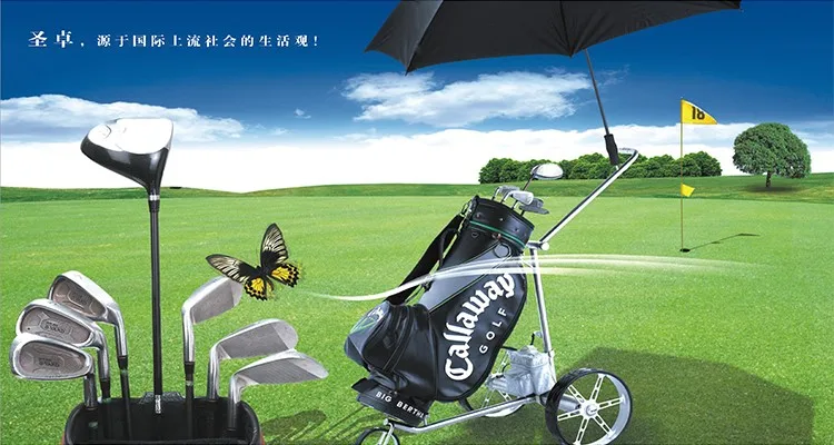 Stainless Steel Electric Remote Golf Trolley Hot Sell In Germany