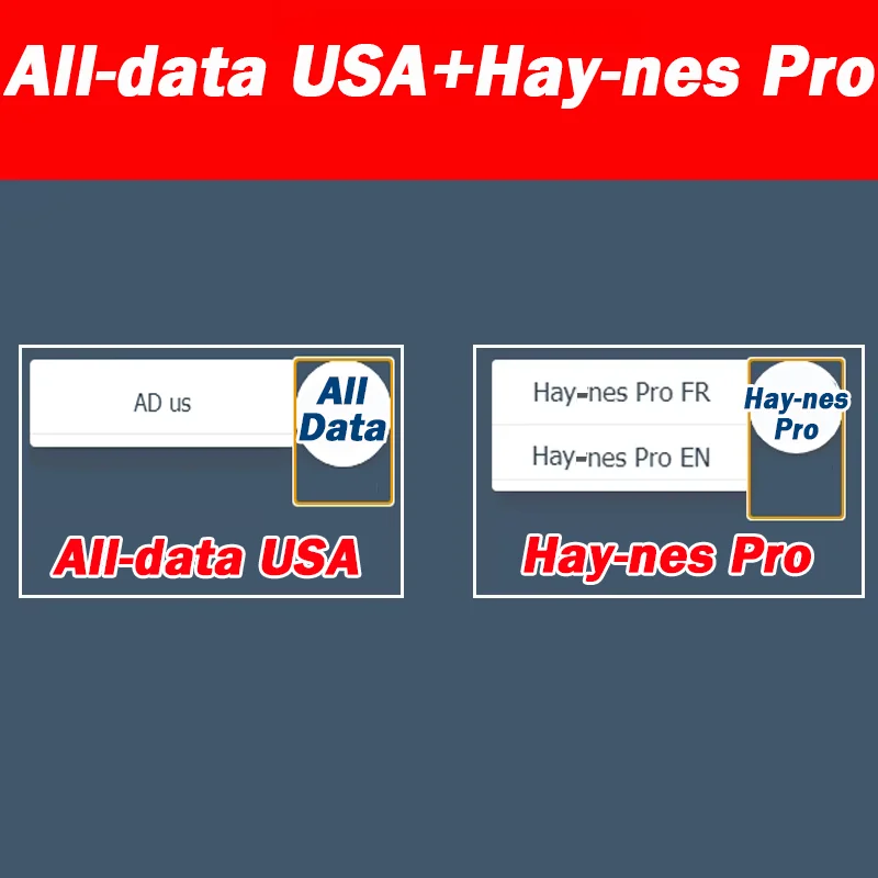ITCARDIAG Upgrade auf 2026-Workshop-Pack-Online-Konto für die USA-Auto-Daten Haynes PRO WIS ServiceBox Elsa Win Dialogys 5