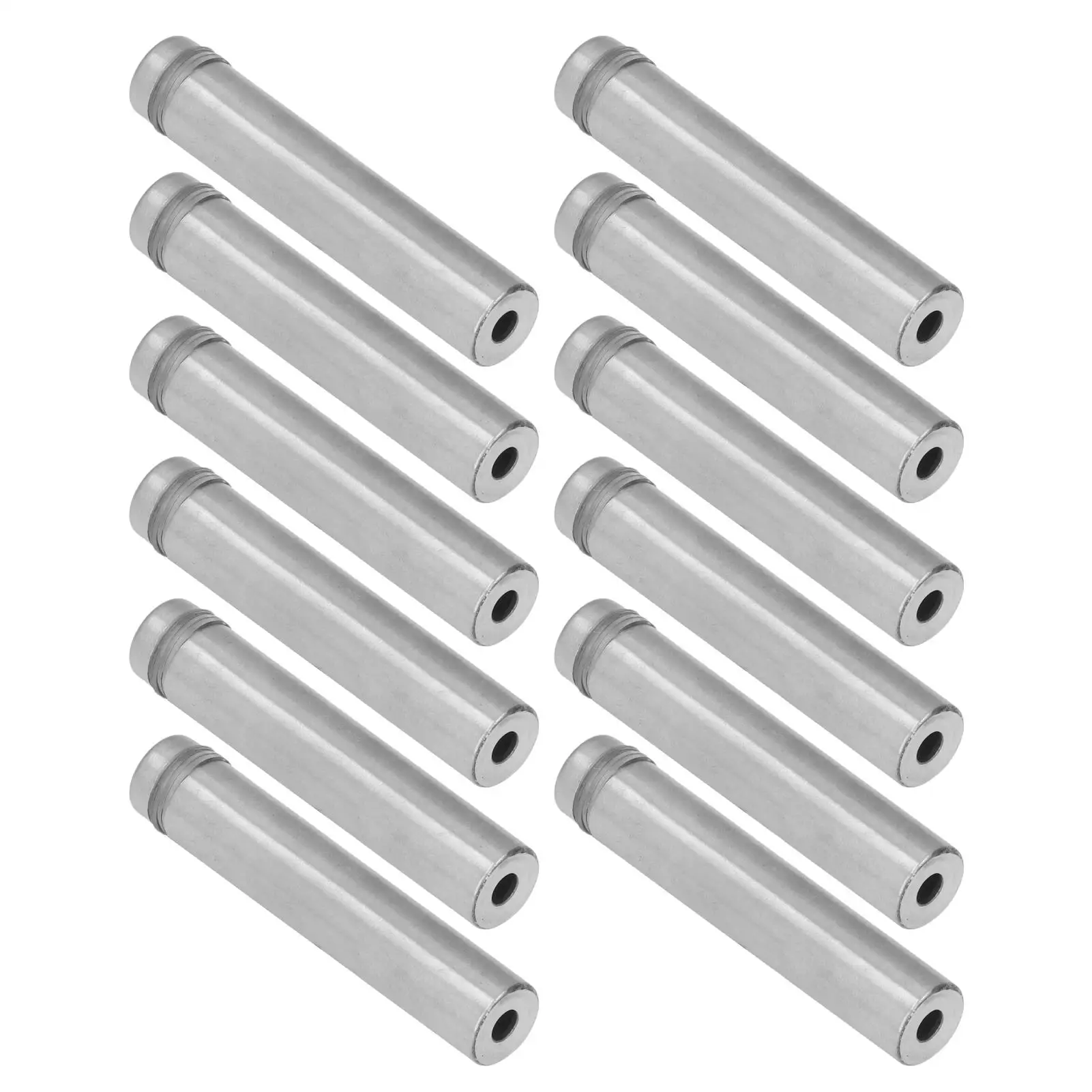 12x60mm Edelstahl-Abstands schraube mit Wanda nkern für die Montage des Schilder halters-12er-Pack