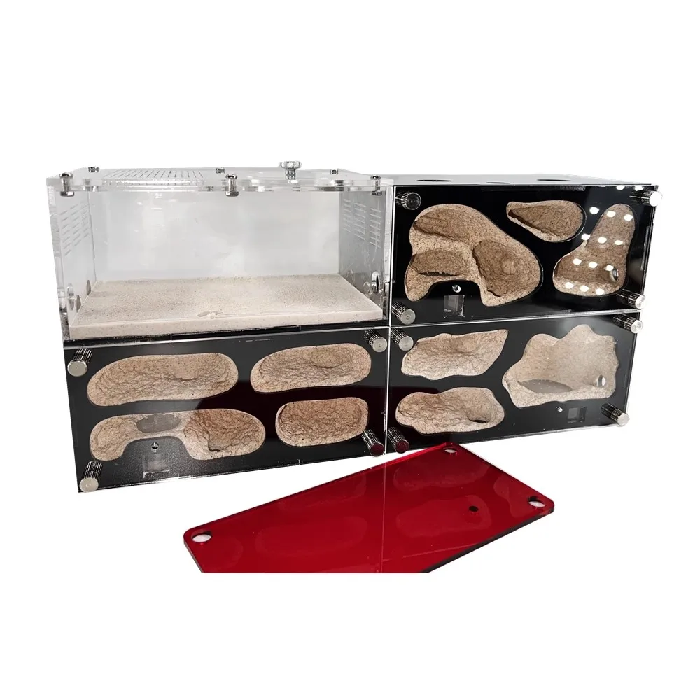 

Бетонное муравьиное гнездо, автоматический контроль температуры, изоляция, неограниченное количество укладки, модернизированная мастерская муравьев, замок, песочное гнездо, муравьи для домашних животных