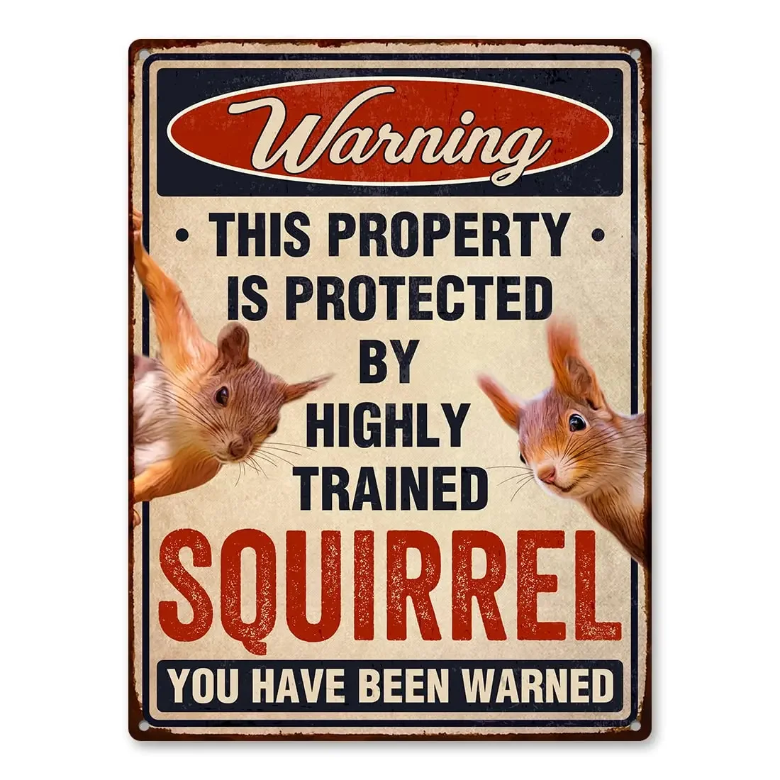 Funny Squirrels Sign, Warning Squirrel Gifts for Squirrel Lovers, Aluminum Sign Rust Free 9