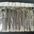 B2   10Packs