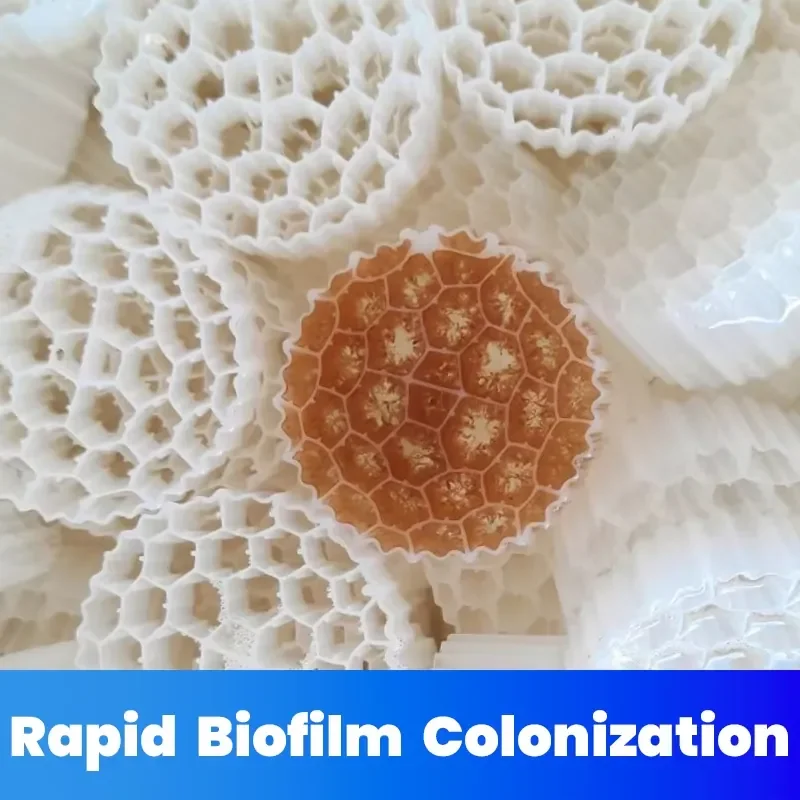 High Load MBBR Moving Bed Biofilm Reactor for Landfill Leachate Biological Treatment Project view 5